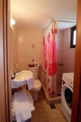 Apart Daire, 1 Yatak Odası (Split Level)