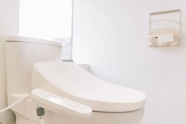 Deluxe Tek Büyük Yataklı Oda, 1 Çift Kişilik Yatak, Sigara İçilmez (101)