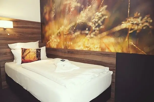Comfort Tek Kişilik Oda, Sigara İçilmez, Dağ Manzaralı