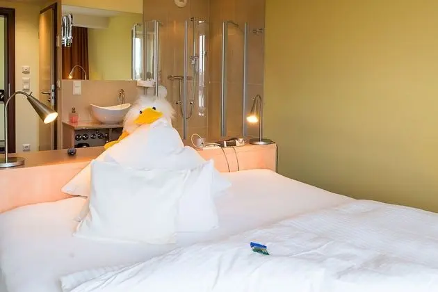 Tek Büyük Yataklı Oda (Bachzimmer)