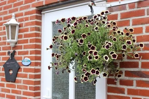 Apart Daire, 2 Yatak Odası (Flügge)