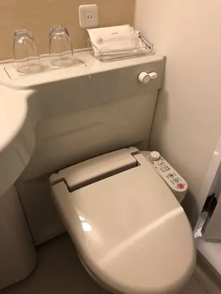 Superior Tek Büyük Yataklı Oda, Sigara İçilmez