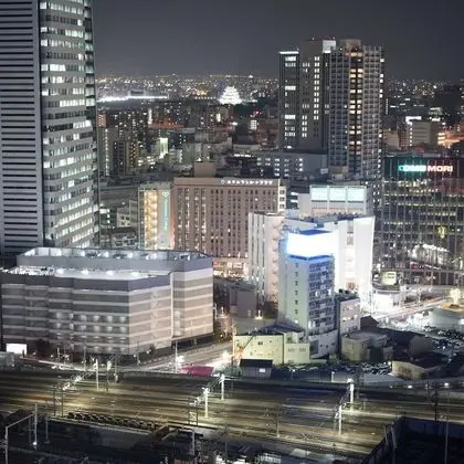 Superior Tek Büyük Yataklı Oda, 1 Çift Kişilik Yatak, Sigara İçilmez (High Floor)