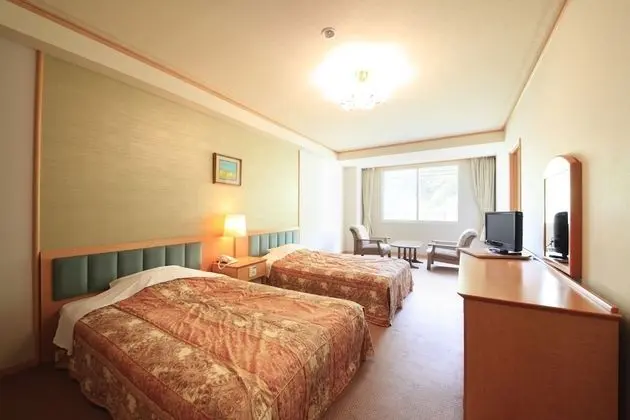Deluxe İki Ayrı Yataklı Oda, Sigara İçilmez