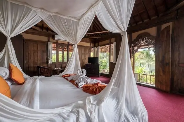 Deluxe Villa, 1 Yatak Odası