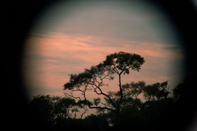 Family Üç Kişilik Oda, 1 Yatak Odası, Nehir Manzaralı (  VIP  )