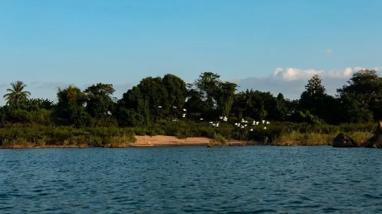 Standard Tek Büyük veya İki Ayrı Yataklı Oda, 1 Yatak Odası, Nehir Manzaralı