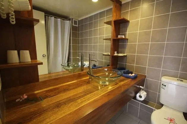 Standard Oda (Orchid)