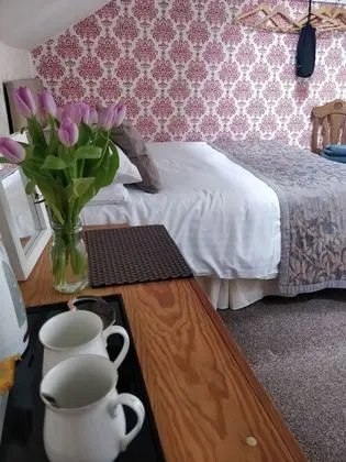 Classic Tek Büyük Yataklı Oda, Banyolu/Duşlu