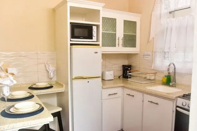 Deluxe Stüdyo Süit, 1 En Büyük (King) Boy Yatak, Sigara İçilmez, Mutfak