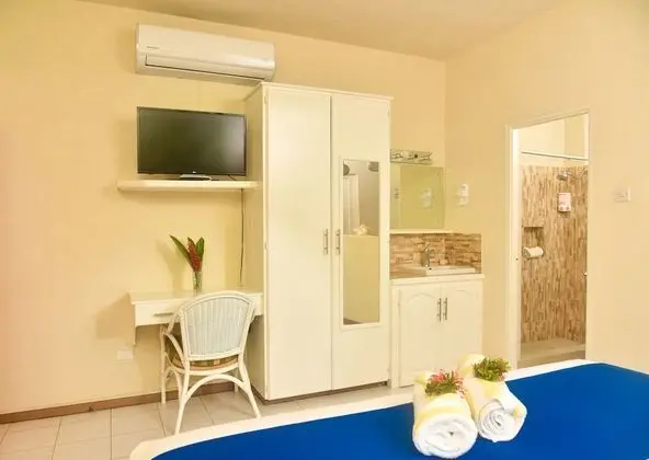 Deluxe Stüdyo Süit, 1 En Büyük (King) Boy Yatak, Sigara İçilmez, Mutfak