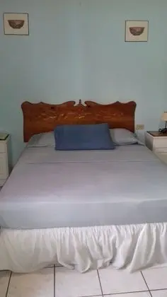 Standard Tek Büyük Yataklı Oda (Fan Only)