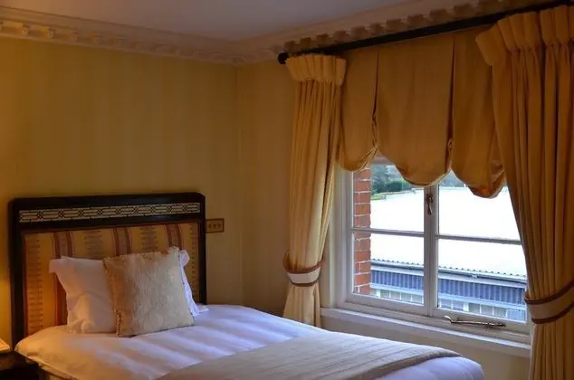 Deluxe Tek Kişilik Oda, Park Manzaralı