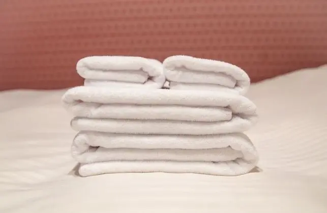 Deluxe İki Ayrı Yataklı Oda, Sigara İçilmez