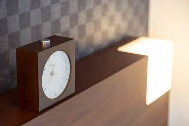 Standard Tek Büyük Yataklı Oda, Sigara İçilmez