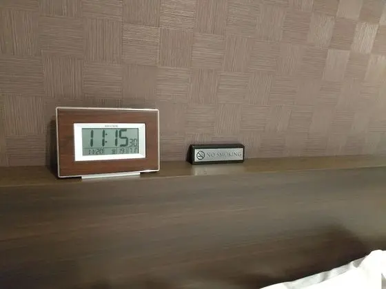 Standard Tek Büyük Yataklı Oda, Sigara İçilebilir