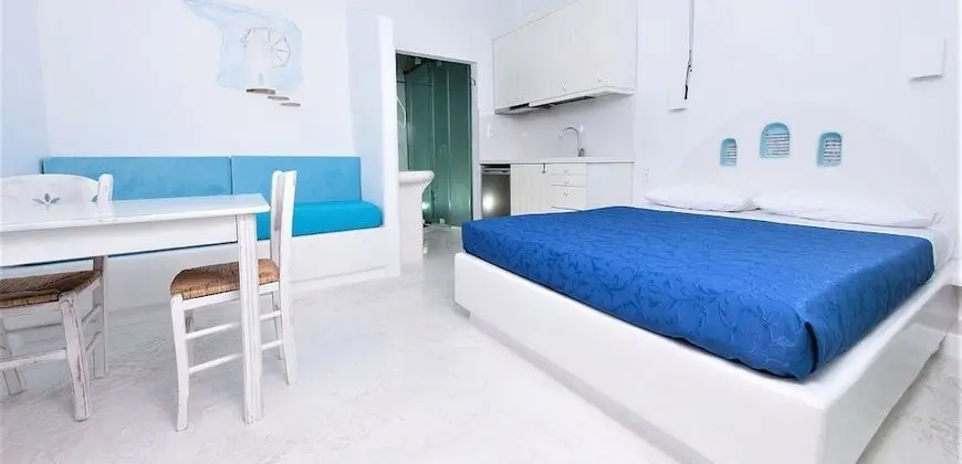 Hippocampus Studio
