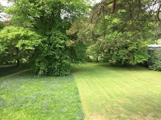 Deluxe Tek Büyük veya İki Ayrı Yataklı Oda, 1 En Büyük (King) Boy Yatak (The Garden Room)