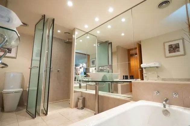 Deluxe Oda, 1 En Büyük (King) Boy Yatak (Bathroom)