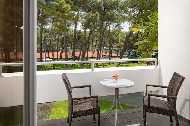 Classic room with balcony, Park side