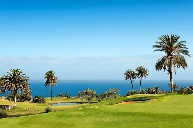 Singular Junior Suite Golf Unlimited (3AD)