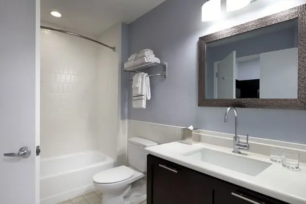 One Bedroom Suite - 1 King Bed