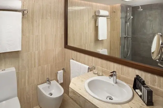 Büyük Yataklı Tek Kişilik Oda (C1T)