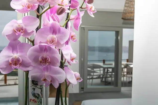 Melidonia Villa with Caldera View and Private Pool