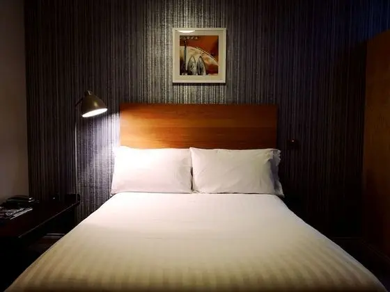 Standard Tek Büyük Yataklı Oda, 1 Çift Kişilik Yatak