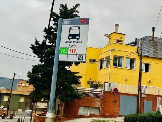 Basic Ortak Ranzalı Oda, Karma Ranzalı Oda, Ortak Banyo (6 Beds)