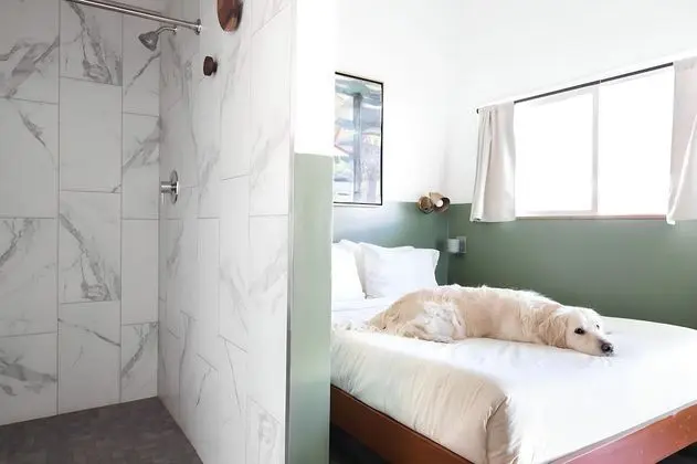 Basic Tek Kişilik Oda