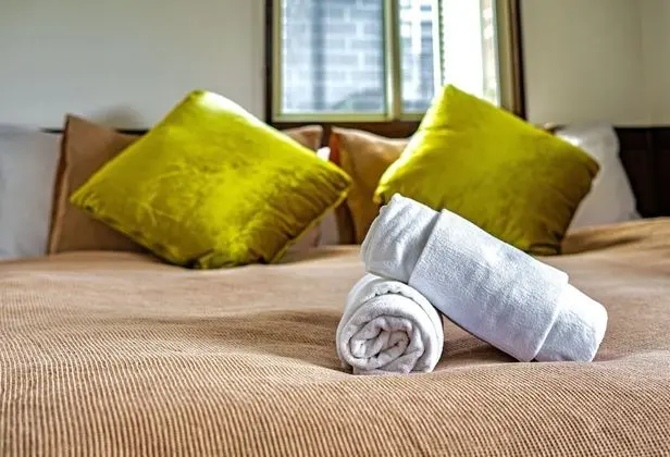 Deluxe Tek Büyük veya İki Ayrı Yataklı Oda