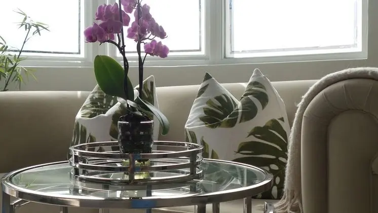 Executive Çatı Katı (Loft), Park Manzaralı
