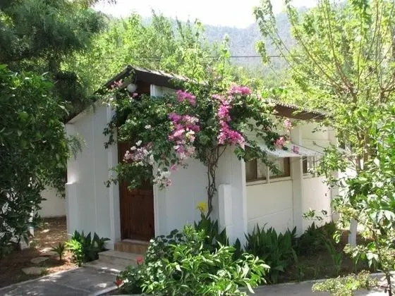 Bungalow, Bahçe Manzaralı