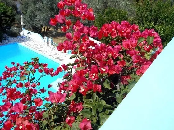 Apart Daire, 1 Yatak Odası, Balkon