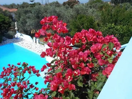 Apart Daire, 1 Yatak Odası, Balkon