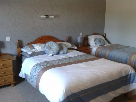 Superior Tek Büyük Yataklı Oda