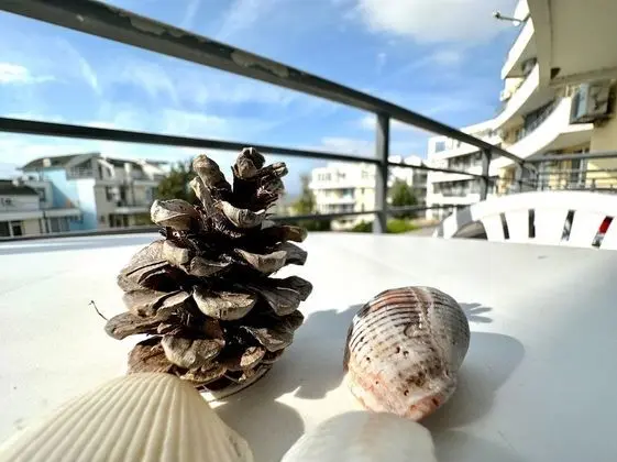 Stüdyo, Havuz Manzaralı