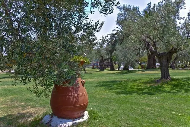 Family Oda, Bahçe Manzaralı