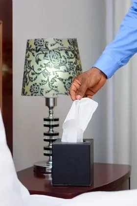 Deluxe Tek Büyük Yataklı Oda, 1 En Büyük (King) Boy Yatak