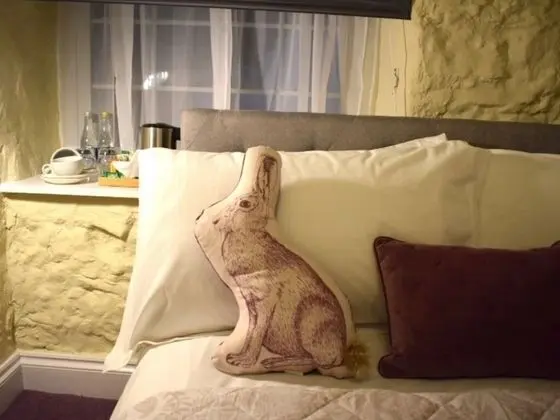 Comfort Tek Kişilik Oda, Banyolu/Duşlu (The Rabbit Hutch )