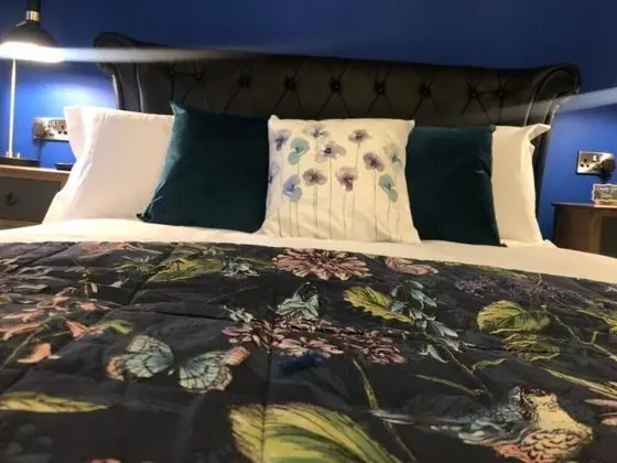 Deluxe Tek Büyük Yataklı Oda, Banyolu/Duşlu (The Bird Cage)