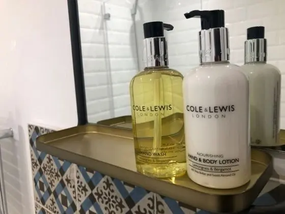 Deluxe Tek Büyük Yataklı Oda, Banyolu/Duşlu (The Bird Cage)