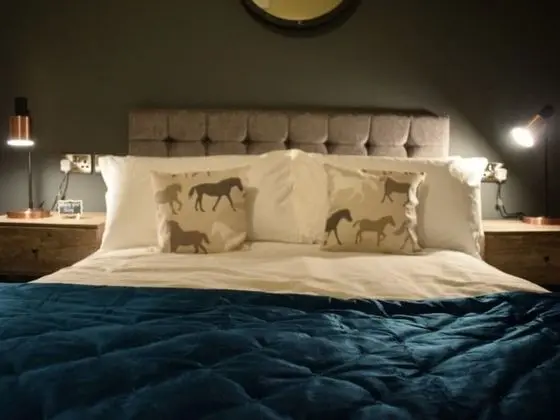 Superior Tek Büyük Yataklı Oda, Banyolu/Duşlu (The Stable)