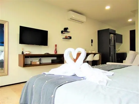 Exclusive Çatı Katı Süiti (Penthouse)