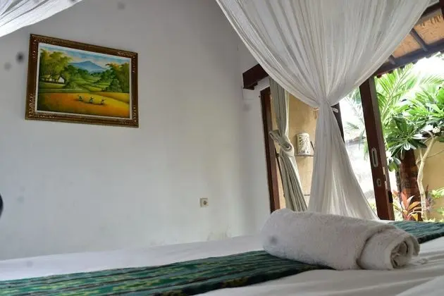 Deluxe Tek Büyük veya İki Ayrı Yataklı Oda, 1 Çift Kişilik veya 2 Tek Kişilik Yatak, Bahçeli