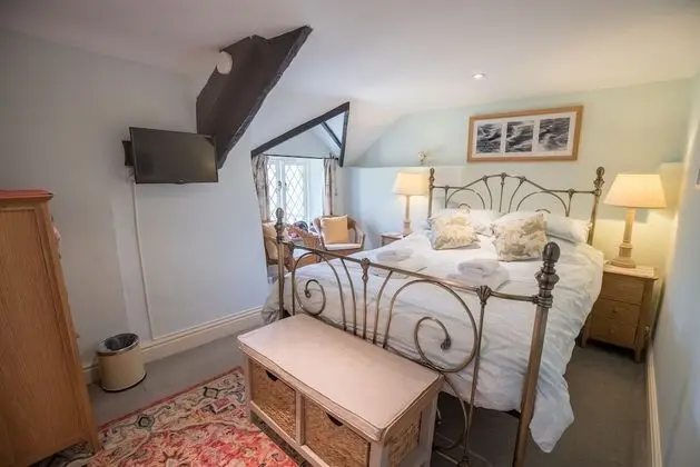 Luxury Tek Büyük Yataklı Oda, Banyolu/Duşlu (The Loveny)