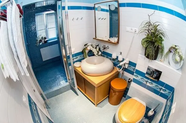 Standard Tek Büyük Yataklı Oda, 1 Çift Kişilik Yatak