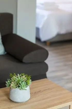 Standard Tek Büyük veya İki Ayrı Yataklı Oda, Balkon