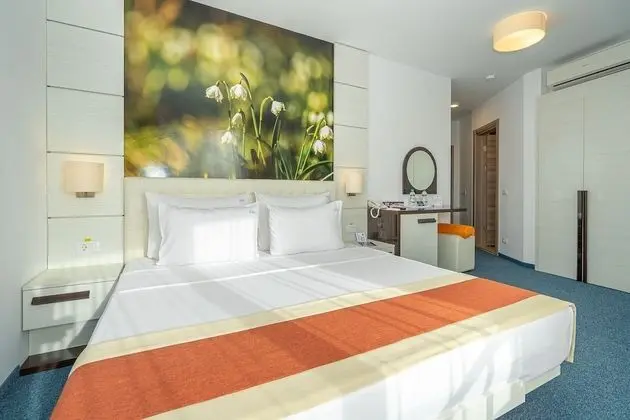 Double Room in Hotel